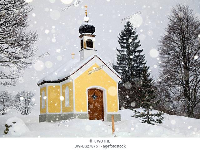 chapel with christmas tree at snowfall, Germany, Bavaria, Oberbayern, Upper Bavaria