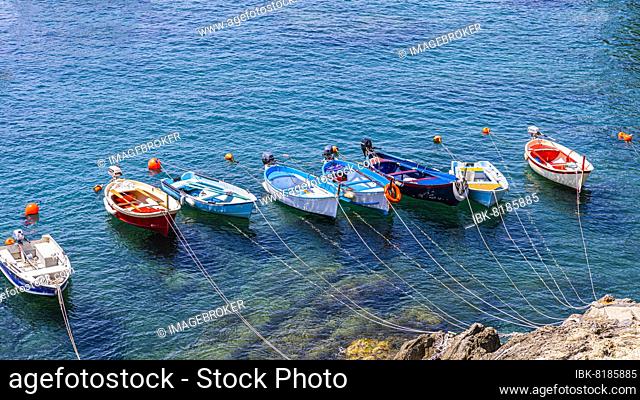 Colourful fishing boats attached to the rock lie in the turquoise water in the harbour of Riomaggiore, Riomaggiore, Ligurian Coast, Liguria, Italy, Europe