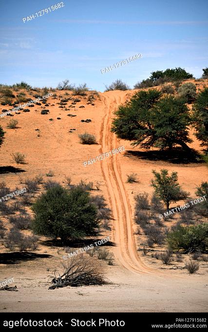 Commercial routes in a privately run game reserve in the Namibian province of Karas, taken on 02.26.2019. Off-road vehicles with visitors to the reserve drive...