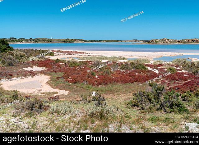 Landscape around the salt lakes of Rottnest Island, Western Australia