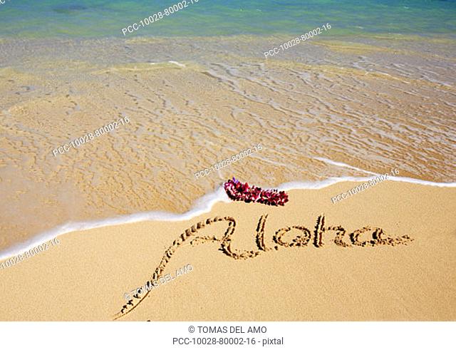 Hawaii, Turquoise ocean waters, foaming shore water, orchid lei, Aloha written in sand