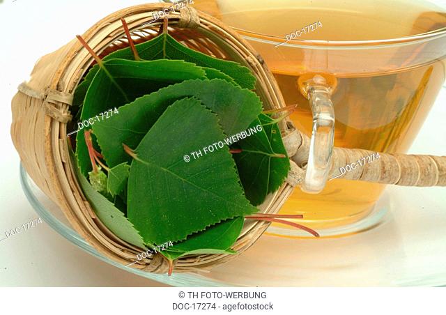 Birch - leaves - Betulla verrucosa - Barancio - Bidollo - infuso - te