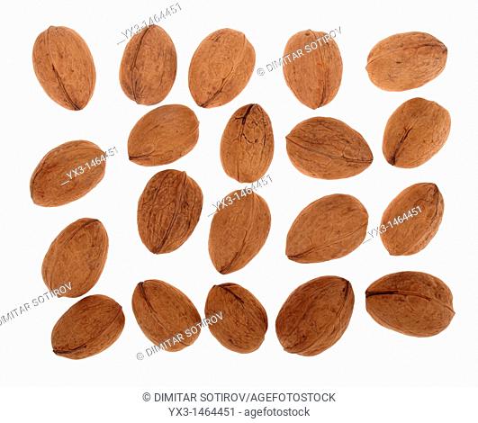 Group of whole walnuts isolated on white background