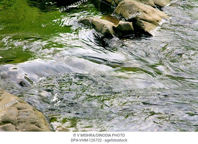 Creative curve and form flow of river water ; Sanjay Gandhi National Park ; Borivali ; Bombay Mumbai ; Maharashtra ; India