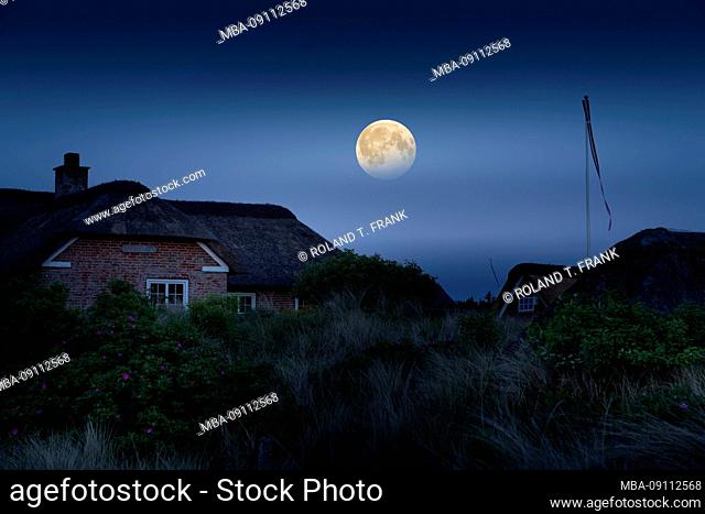 Denmark, Jutland, Ringkobing Fjord, cottages in the moonlight