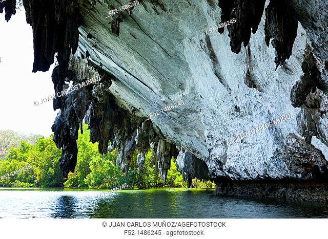 Tam Lod Cave  Phang Nga Bay, Andaman Sea, Thailand, Asia