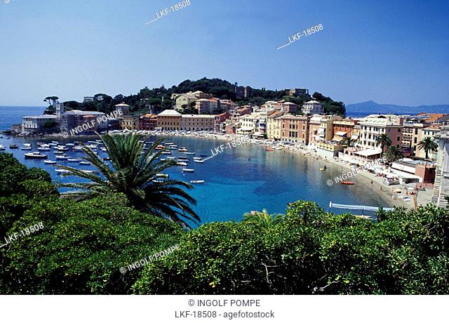 View of coastal town in the sunlight, Baia del Silencio, Sestri Levante, Liguria, Italy, Europe