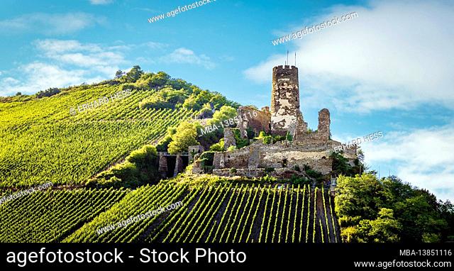 Unesco World Heritage Upper Middle Rhine Valley, 2015, keep, castle, castle romance, castle hiking trail, castle ruins, Fürstenberg, neck ditch, hillside castle