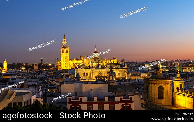 View from Metropol Parasol over the city, illuminated Cathedral of Seville with tower La Giralda, blue hour, Seville, Andalusia, Spain, Europe