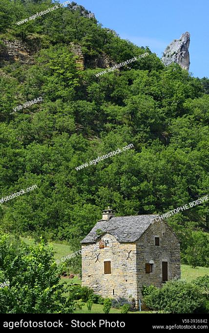France, Lozère, Les gorges du Tarn aux alentours du village des Vignes / France, Lozere, Les Vignes village surroundings, Tarn gorges