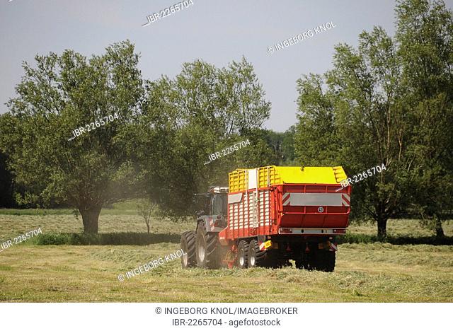 Tractor with a trailer, hay harvest