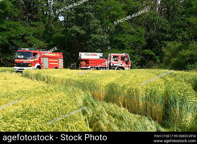 17 June 2021, Rhineland-Palatinate, Koblenz: Firefighters fight a forest fire on a slope above the Moselle near Koblenz. Residents had noticed the edge of the...