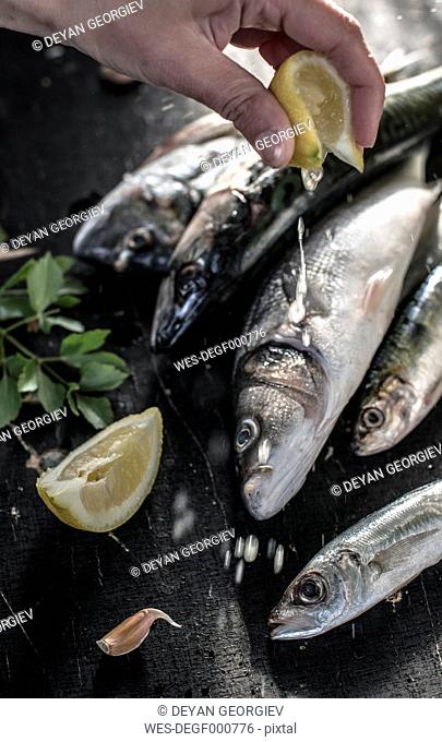 Raw fish. Sea bream, sea bass, mackerel and sardines, squeezing lemon