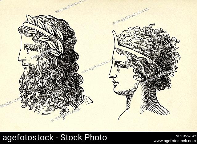 Greece Hairstyles Stock Illustrations – 4 Greece Hairstyles Stock  Illustrations, Vectors & Clipart - Dreamstime