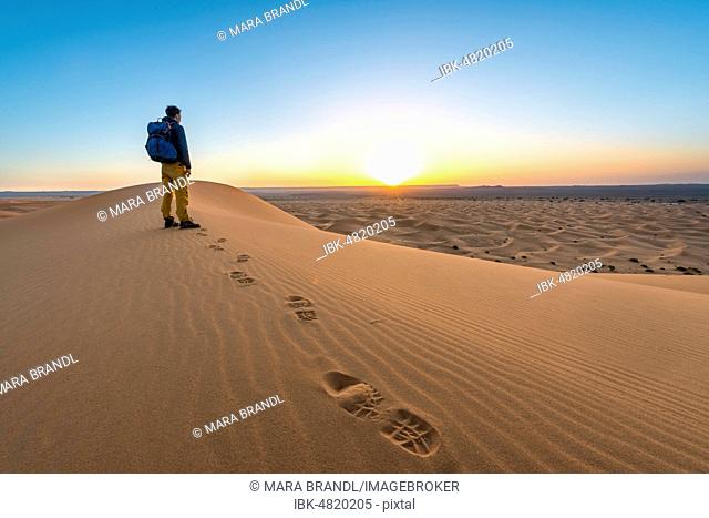 Young man on a sand dune at sunrise, Erg Chebbi, Merzouga, Sahara, Morocco