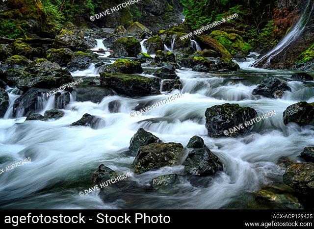 Rosewall Creek Provincial Park, Courtenay, Vancouver Island, BC, Canada (Rosewall Falls)