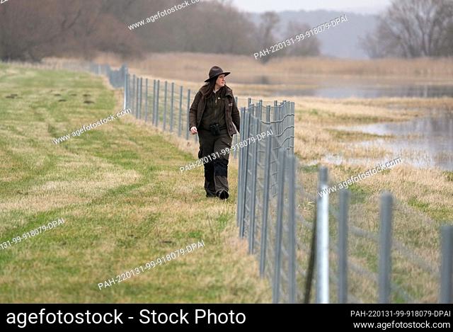 31 January 2022, Brandenburg, Schwedt/Ot Criewen: Milena Kreiling, ranger of the nature guard in the Lower Oder Valley National Park