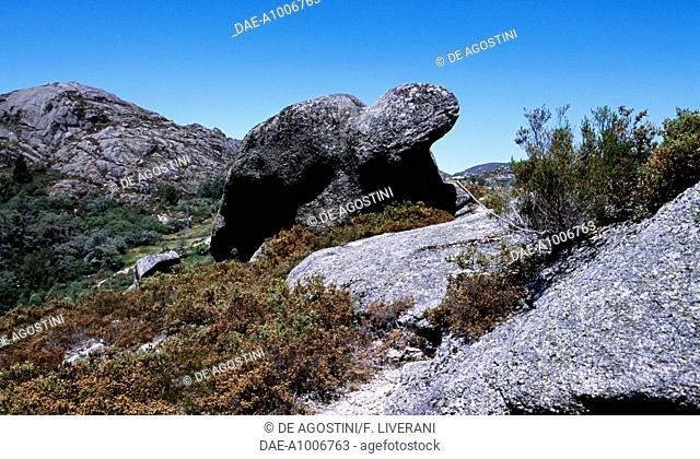 Granite rock in the shape of a turtle in the surroundings of Castro Laboreiro, Peneda-Geres National Park (Parque Nacional da Peneda-Geres), Portugal