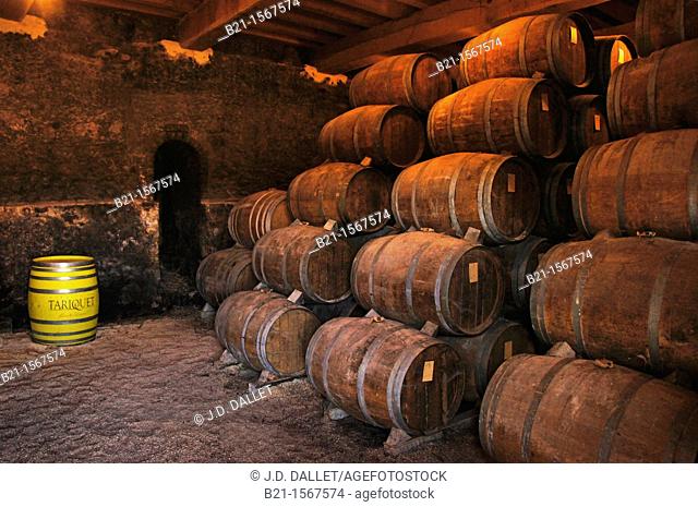 'Chai' cellar at Chateau Caillaubert, of the Tariquet Wines and Armagnac Estate, where the Armagnac are aging, Gers, Midi-Pyrenees, France