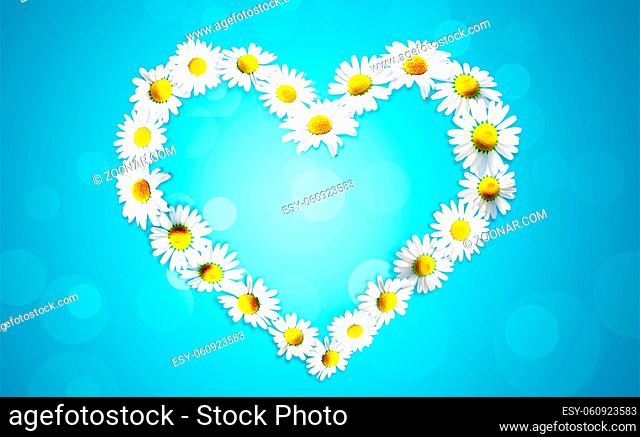Heart of white chamomiles. Mother's day or Women's day concept