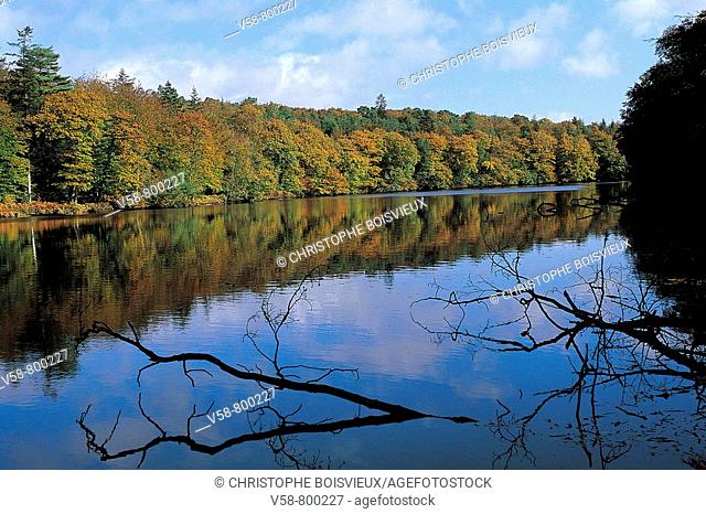 Forges de Paimpont lake, Broceliande forest. Ille-et-Vilaine, Bretagne, France