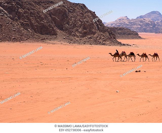 Dunes in Wadi Rum desert, Jordan