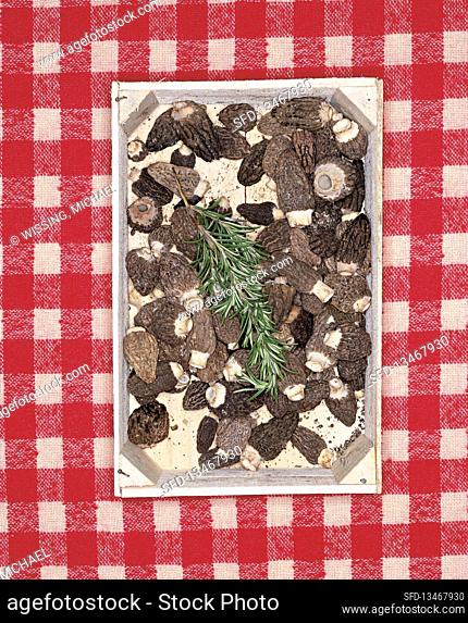 Norway morels and rosemary