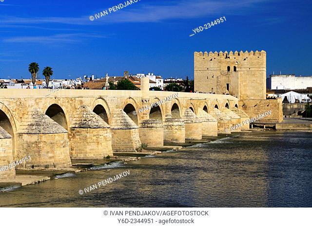 The Roman Bridge and Calahorra Tower, Cordoba, Andalusia, Spain