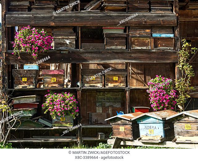Canale d'Agordo, traditional alpine architecture in valley Val Biois . Europe, Central Europe, Italy