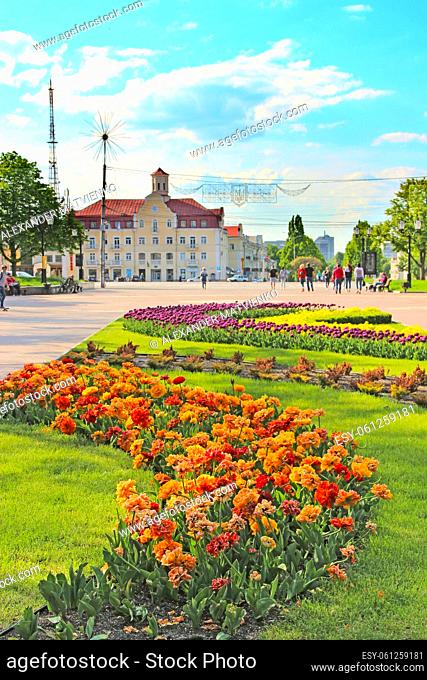 people have a rest in city park with beds of tulips in spring. Chernihiv town with blossoming tulips in spring. Beautiful Ukrainian town