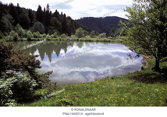 A small lake etang in the French Vosges - in the background the Ballon d' Alsace, one of the highest hills in the Vosges