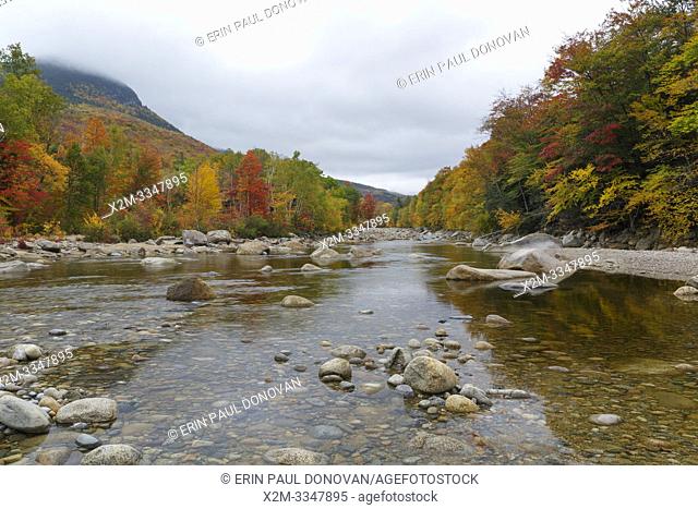 Autumn foliage along the East Branch of the Pemigewasset River in Lincoln, New Hampshire on a cloudy autumn day. This location is near where Clear Brook drains...