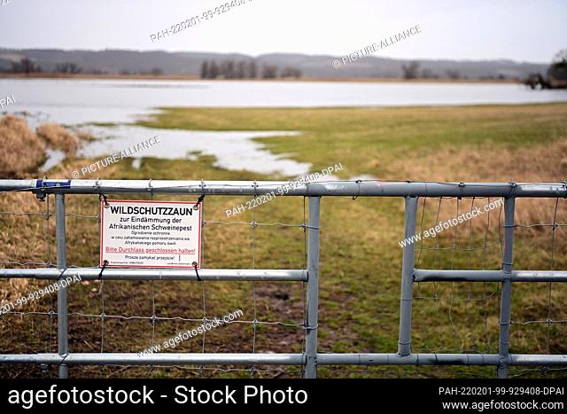 31 January 2022, Brandenburg, Schwedt/Ot Criewen: A gate with the sign ""Wild boar fence to contain African swine fever"" stands in the Lower Oder Valley...