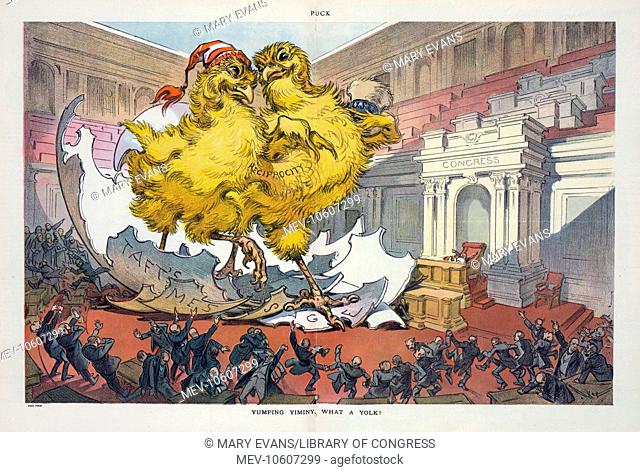 Yuming yiminy, what a yolk!. Illustration shows a large egg labeled Taft's Message that has hatched in the congressional chamber startling the congressmen; two...