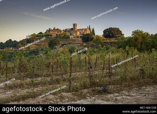 Sunrise in some vineyards in front of Castelladral (NavÃ s, Barcelona, Catalonia, Spain)