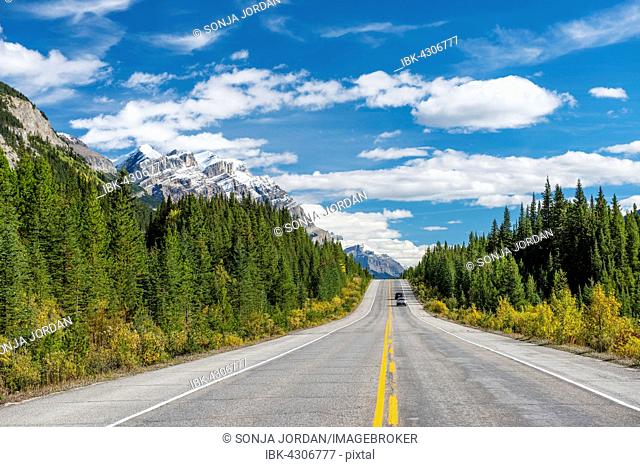 Highway Icefields Parkway, Highway 93, Canadian Rockies, Alberta Province, Canada