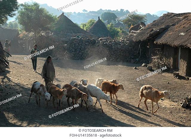 lalibela, person, bilbala, village, ethiopia, people