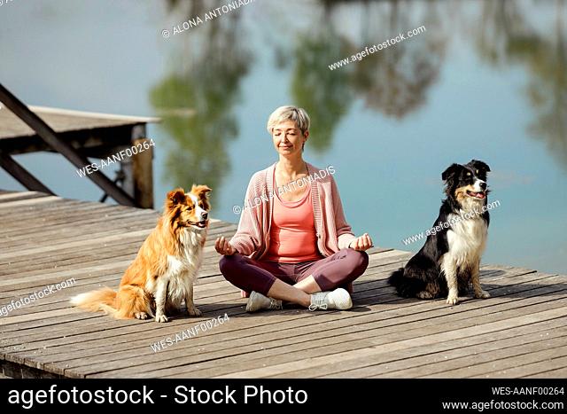 Mature woman meditating sitting amidst dogs on pier