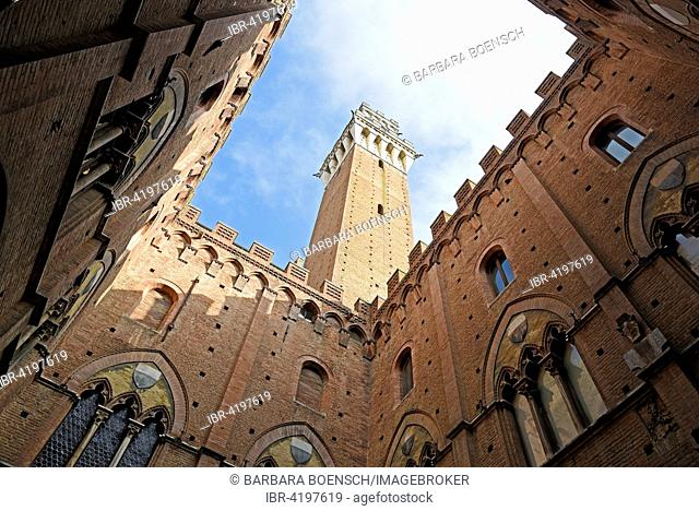 Torre del Mangia Tower, Palazzo Pubblico, town hall, Museum, Piazza del Campo, Siena, Tuscany, Italy
