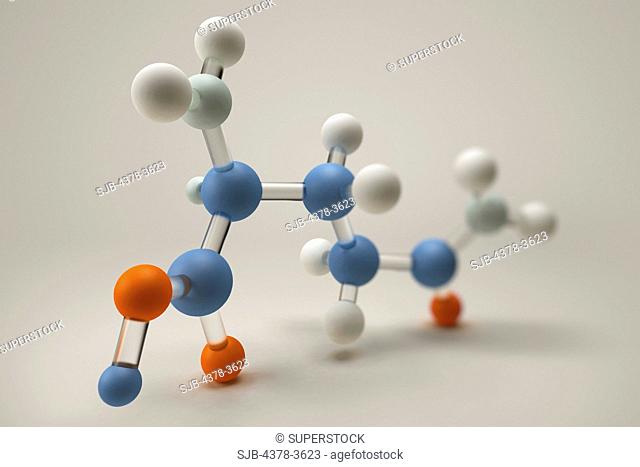 A molecular model of glutamine