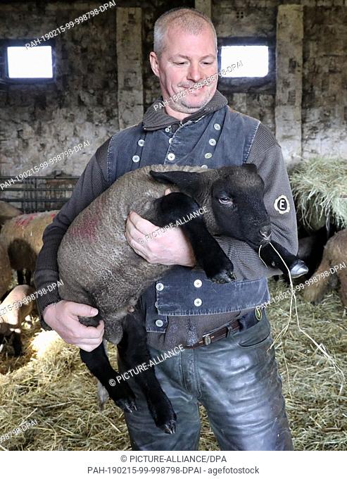 14 February 2019, Mecklenburg-Western Pomerania, Reimershagen: Shepherd Sven Nöller holds a lamb in his arms in his stable