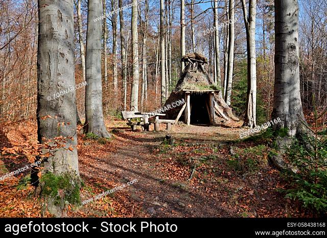 Schutzhütte im Wald bei Friedrichsbrunn