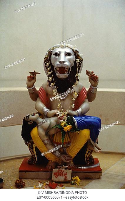 Idol of god Narsingh in Bayatri temple , Bilimora , Gujarat , India