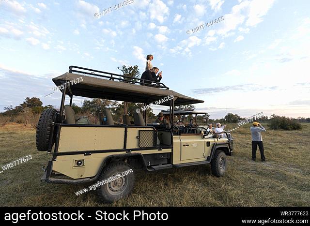 Group of people around safari vehicles on a sunrise game drive