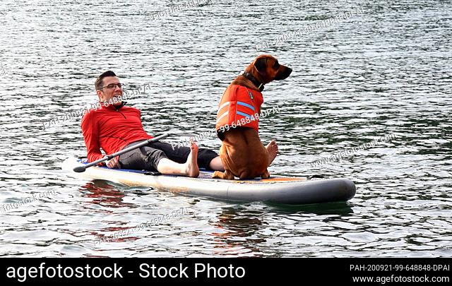 20 September 2020, Saxony, Leipzig: Laughing, Marco enjoys the beautiful late summer weather with his Rhodesian Ridgeback ""Bahari"" for stand up paddling on...