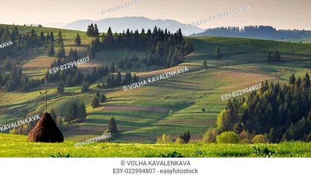 Spring landscape in the Carpathian mountains