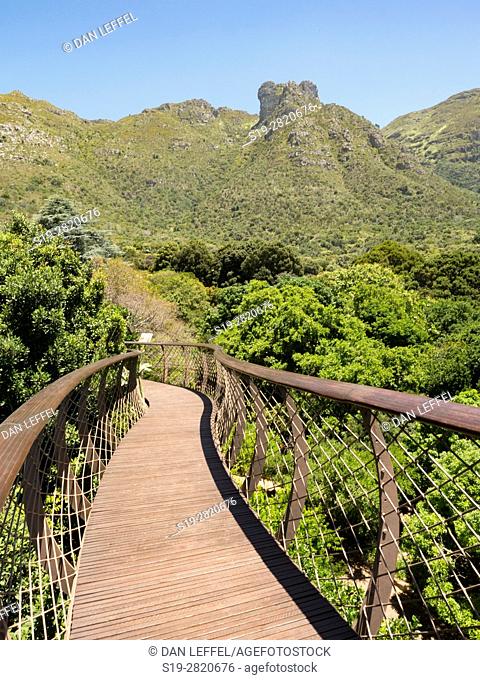 Cape Town South Africa Kirstenbosch