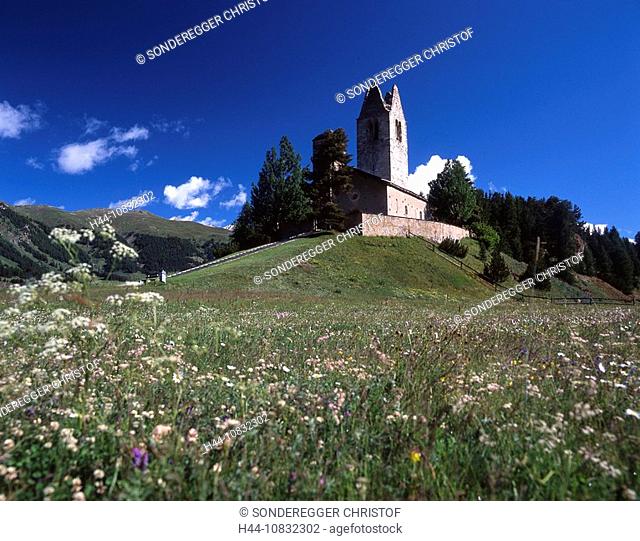 Switzerland, Europe, Celerina, San Gian Church, Landscape, Wild flowers, Meadow, Alps, Mountains, Upper Engadin, Engad