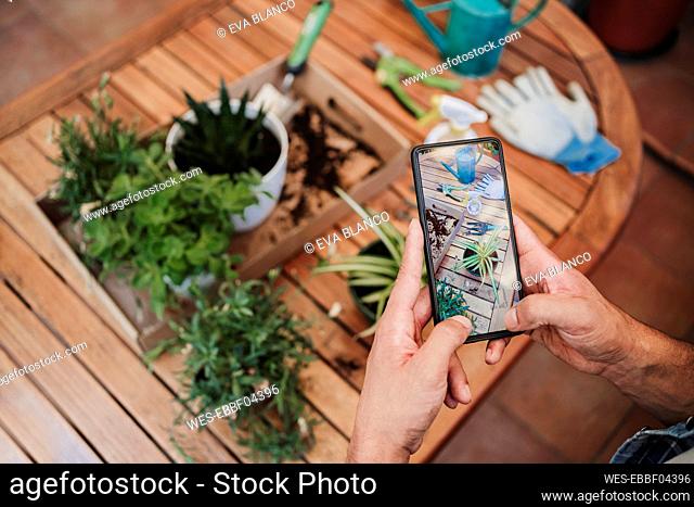 Man photographing plants through mobile phone at backyard