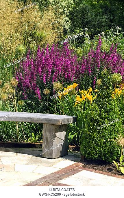 CURVED WOODEN BENCH IN THE HERBACEOUS BORDER AT RHS HARLOW CARR